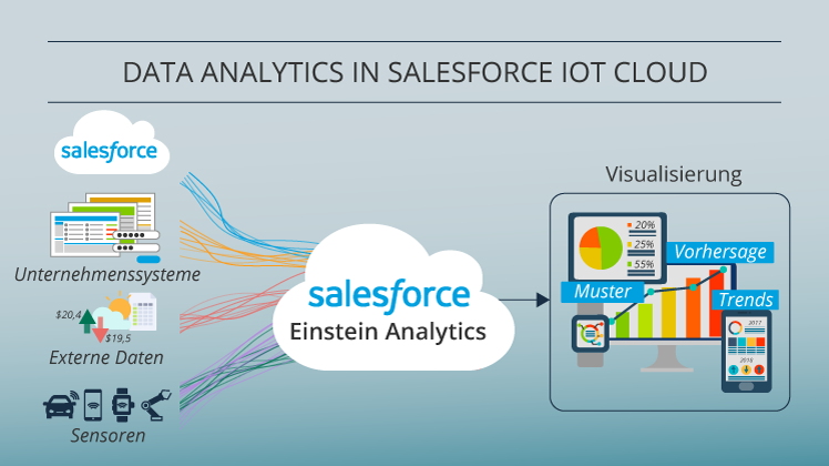 Salesforce IoT Cloud_de 3