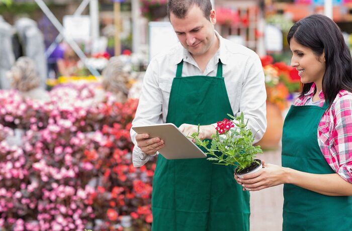Erstellung einer E-Commerce-Lösung für United Company