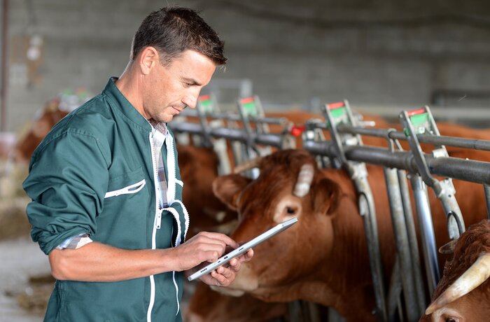 Erstellung einer RFID-gestützten Lösung für die Tierhaltung