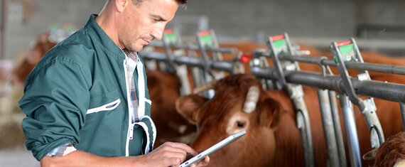 Erstellung einer RFID-gestützten Lösung für die Tierhaltung