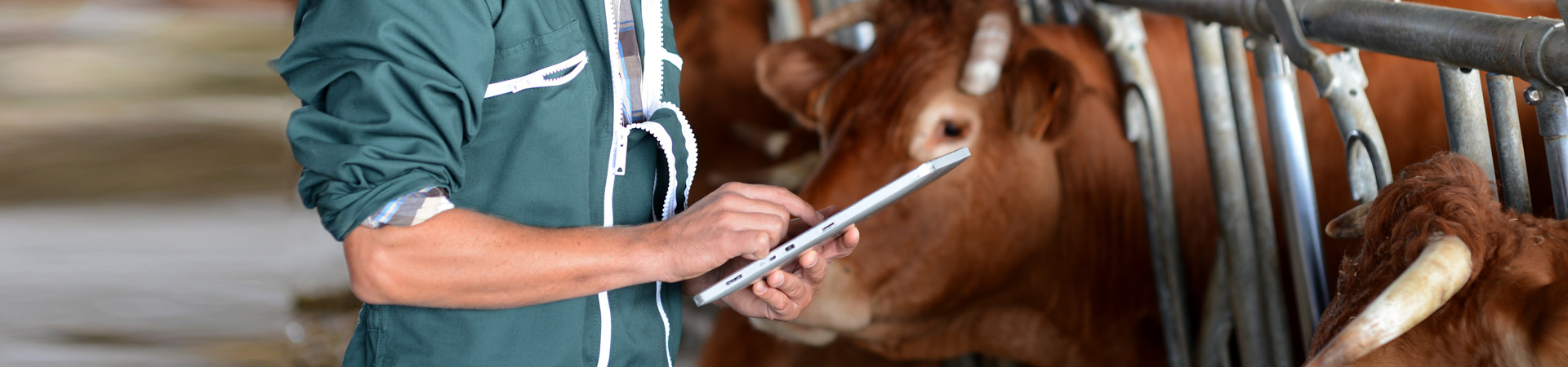 Erstellung einer RFID-gestützten Lösung für die Tierhaltung