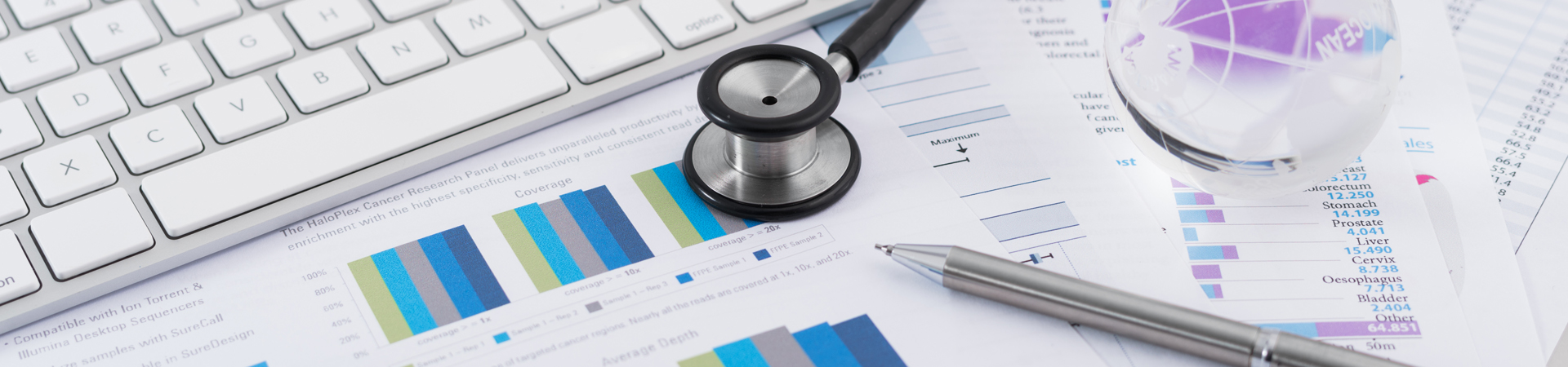 Erstellung einer BI-Software für 200 Gesundheitszentren