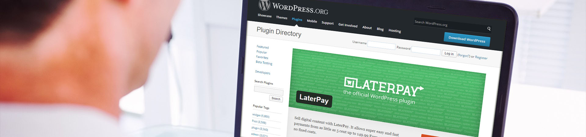 Implementierung eines Plugins mit der Funktion Pay-for-Post für WordPress