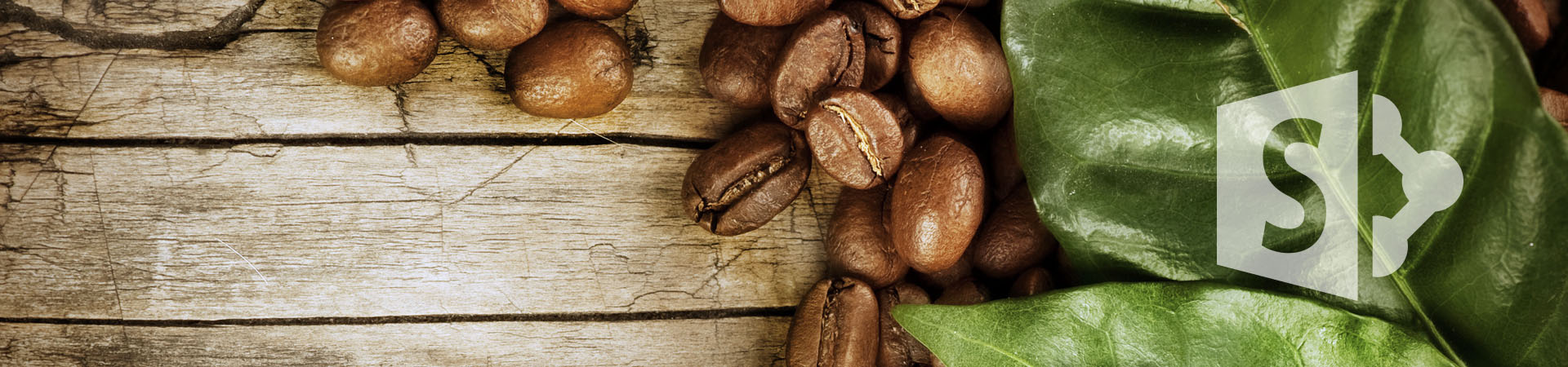 Öffentliche Webseite auf SharePoint für einen kanadischen Tee & Kaffee Hersteller