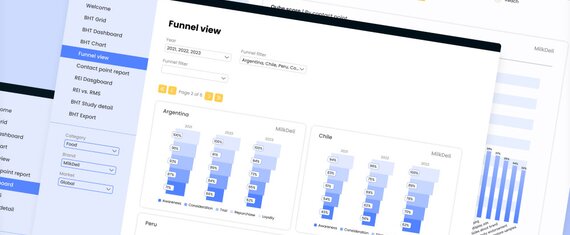 Erstellung einer BI-Lösung für das FMCG-Unternehmen mit 8,000+ Brands