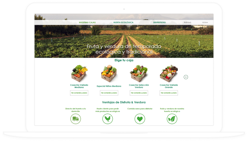 Die Implementierung der E-Commerce-Lösung für einen Anbieter von Bio-Obst und -Gemüse